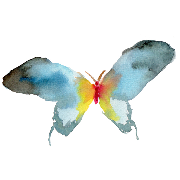 2016-web-DFL-butterfly